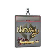 Sticker Slab | noway (Gold) | Shanghai 2024