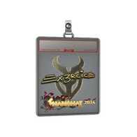 Sticker Slab | Ex3rcice (Gold) | Shanghai 2024