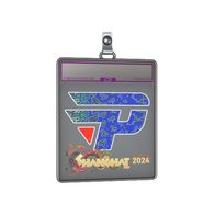 Sticker Slab | paiN Gaming (Holo) | Shanghai 2024