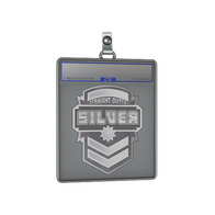 Sticker Slab | Silver