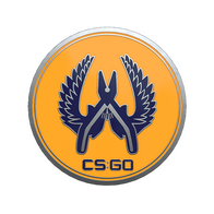 Guardian 2 Pin