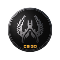 Guardian Elite Pin
