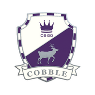Cobblestone Pin