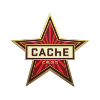 Cache Pin
