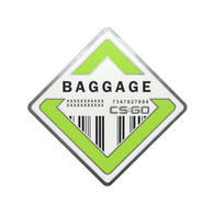 Baggage Pin