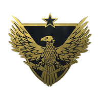 Brigadier General Pin