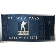 Katowice 2019 Viewer Pass